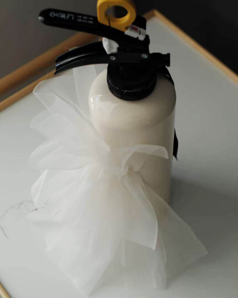 門井 里緒作品
Fire and Ice