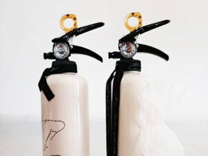 門井 里緒作品 Fire and Ice